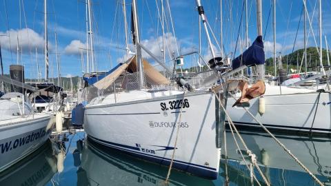 Dufour Yachts Dufour 385 GL : In the marina 