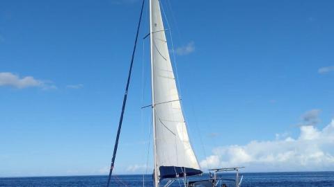 Poncin Yachts Harmony 42 : Navigating