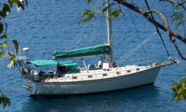 Island Packet 38 : At anchor
