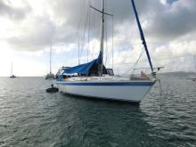 Wauquiez Centurion 36 : Anvhorage in Martinique