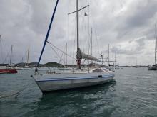 Alubat Ovni 39 : At anchor in Martinique
