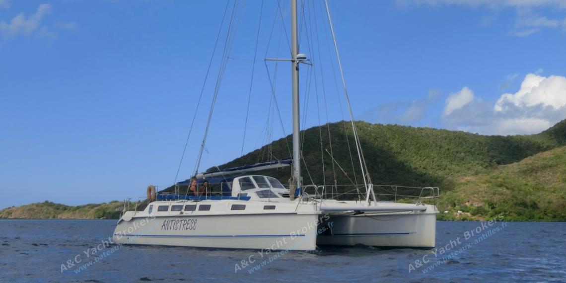 Edel Strat Edel Cat 43 : Edel Strat Edel Cat 43 :