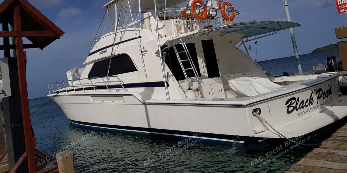 Bertram 60 : At the pontoon Bertram 60 : At the pontoon